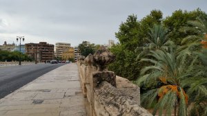 8558D857-81A8-4AA3-BF4A-38D5D6559ECF