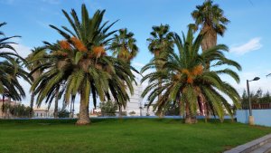 0011EAC0-06D6-4A25-B064-37DBF3687825