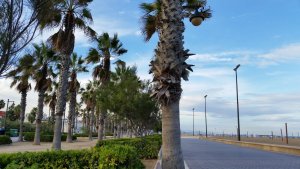 0D97CC4B-7AED-4231-83E2-F7D6156C6324