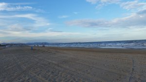 0F3EE027-1D91-4E2D-9E6B-F74DF8EEBA7A