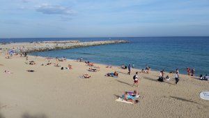 3188BB4B-32AB-45AD-80A7-FB5AE432440A