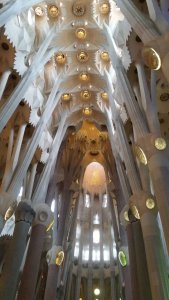 671D18C4-90D7-40A9-88A3-796C785076EB