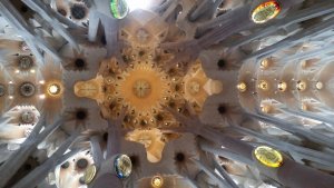 8B831101-5ADD-4893-8010-86B0C8FB4F46