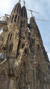 8D358E60-4D68-49D3-B8A9-85A87DA2296E