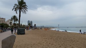 9F7C48AD-368F-46E0-A877-B941E7C68808