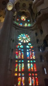 CB47AE69-DD99-4A1A-9890-BED2EF82B347