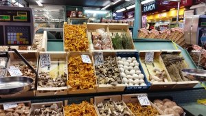 740C1A31-D4C5-4AAF-B8AD-FF5DB30EA482